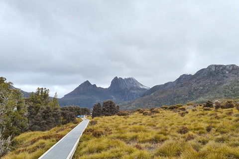 Cradle Mountain National Park Day Tour From Launceston - Accommodation Guide 2