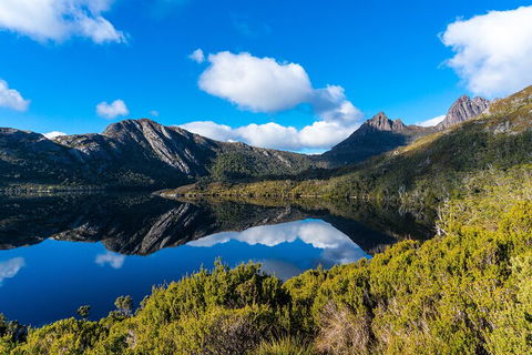 Cradle Mountain National Park Day Tour From Launceston - Accommodation Guide 3