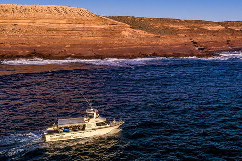 Kalbarri Sunset Coastal Cliff Cruise - Accommodation Asia 4
