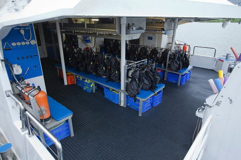 Silverswift Outer Great Barrier Reef Dive And Snorkel Cruise From Cairns - Accommodation Guide 0