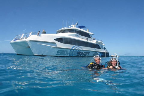 Silverswift Outer Great Barrier Reef Dive And Snorkel Cruise From Cairns - Accommodation Guide 4