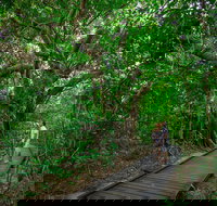 Green Island Eco Adventure from Cairns - Accommodation China