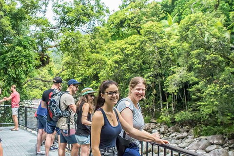 Cape Tribulation, Mossman Gorge, And Daintree Rainforest Day Trip From Cairns Or Port Douglas - Accommodation Guide 0