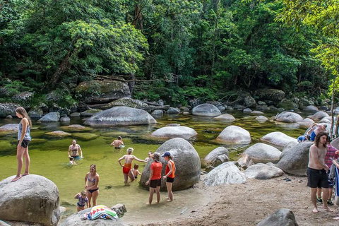 Cape Tribulation, Mossman Gorge, And Daintree Rainforest Day Trip From Cairns Or Port Douglas - Accommodation Guide 1