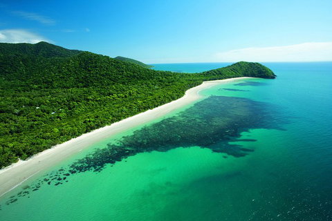 Cape Tribulation, Mossman Gorge, And Daintree Rainforest Day Trip From Cairns Or Port Douglas - Accommodation Guide 2