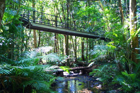Cape Tribulation, Mossman Gorge, And Daintree Rainforest Day Trip From Cairns Or Port Douglas - Accommodation Guide 3