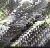 6-Day Hearty Tasmania Tour Tasmania in a Circle - Accommodation China