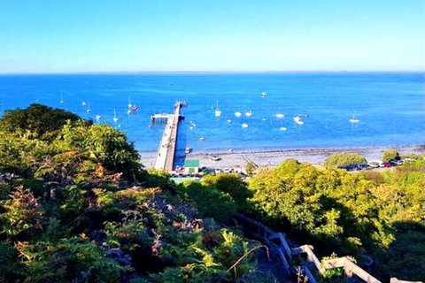 Mornington Peninsula Sightseeing Tour For 2-6 Guests. - Accommodation China 1