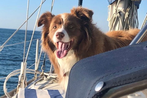 Mornington Peninsula Sightseeing Tour For 2-6 Guests. - Accommodation China 2