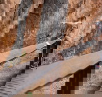 Chillagoe Caves and Outback Day Trip from Cairns - Accommodation China