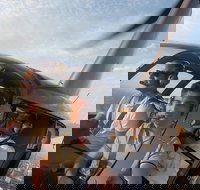 Melbourne and Port Phillip Bay Helicopter Tour - Accommodation Guide