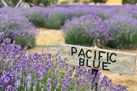 Kangaroo Island Food And Wine Trail Tour - Accommodation Guide 0
