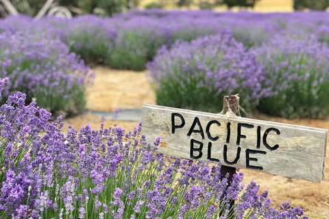 Kangaroo Island Food And Wine Hop-on Hop-off Tour - Accommodation Asia 4