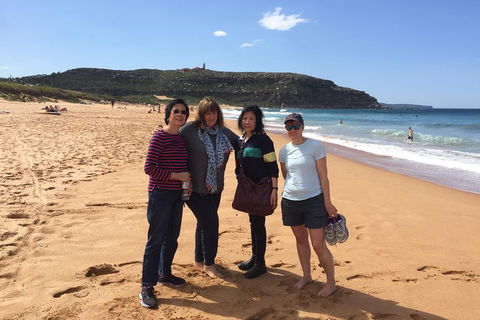 Small-Group Sydney's Northern Beaches And Ku-ring-gai National Park Bus Tour - Accommodation Guide 2