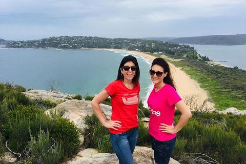 Small-Group Sydney's Northern Beaches And Ku-ring-gai National Park Bus Tour - Accommodation Guide 3