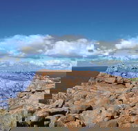 4 Day Tour Albany Margaret River Valley of the Giants TreeTop Walk from Perth - Accommodation Asia