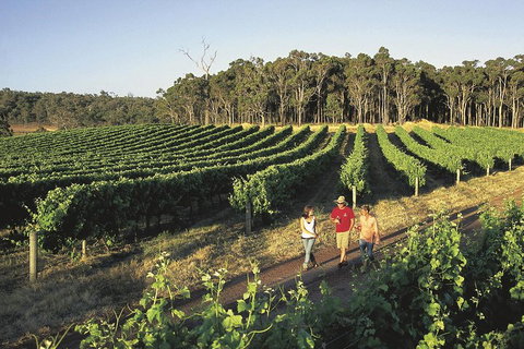 Margaret River, Caves, Wine And Cape Leeuwin Lighthouse Tour From Perth - Accommodation Guide 1