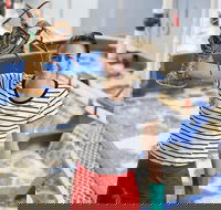 Pinnacles Desert Koalas and Sandboarding 4WD Day Tour from Perth - Accommodation Asia