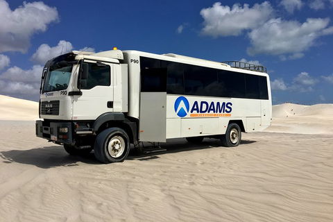 Pinnacles Desert, Koalas And Sandboarding 4WD Day Tour From Perth - Accommodation Guide 2