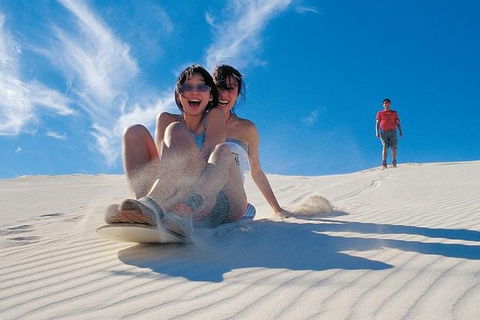 Pinnacles Desert, Koalas And Sandboarding 4WD Day Tour From Perth - Accommodation Guide 3