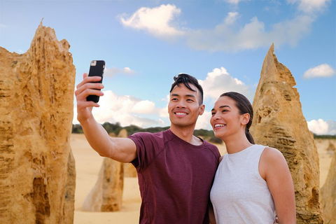 Pinnacles Desert, Koalas And Sandboarding 4WD Day Tour From Perth - Accommodation Guide 4