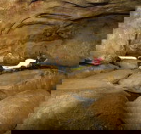 2-Day Wave Rock York Wildflowers  Aboriginal Experience - Accommodation Asia