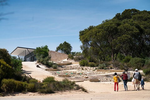 2-Hour Koala Walking Tour In Kangaroo Island - Accommodation Guide 3