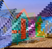 Phillip Island Penguin Brighton Beach Moonlit Sanctuary from Melbourne - Accommodation China