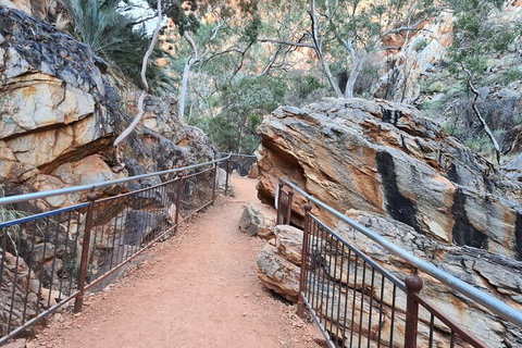 West MacDonnell Ranges Half-Day Private Charter Guided Tour - Accommodation China 0