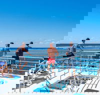 Calypso Outer Great Barrier Reef Cruise from Port Douglas - Accommodation Guide
