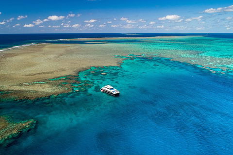 Calypso Outer Great Barrier Reef Cruise From Port Douglas - Accommodation Guide 1