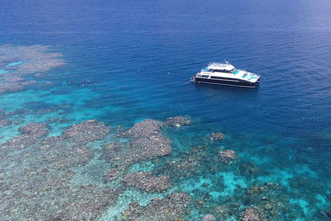 Calypso Outer Great Barrier Reef Cruise From Port Douglas - Accommodation Guide 4