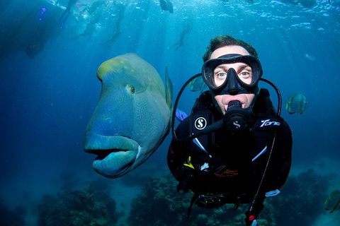 Full Day Reef Cruise Including 10 Minute Heli Scenic Flight: Get High Package - Accommodation Guide 1