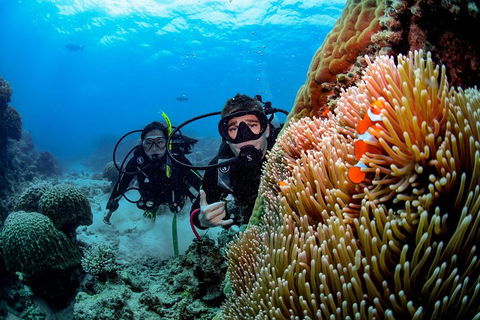 Full Day Reef Cruise Including 10 Minute Heli Scenic Flight: Get High Package - Accommodation Guide 5