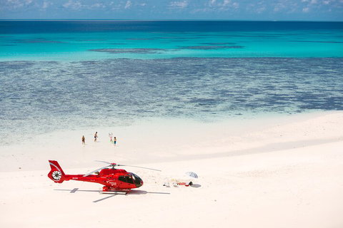 Private Helicopter Tour: Reef Island Snorkeling And Gourmet Picnic Lunch - Accommodation Guide 2