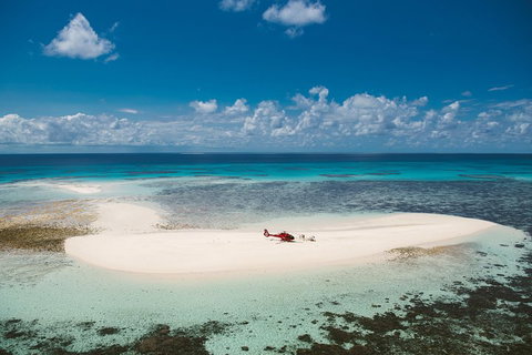 Private Helicopter Tour: Reef Island Snorkeling And Gourmet Picnic Lunch - Accommodation Guide 4