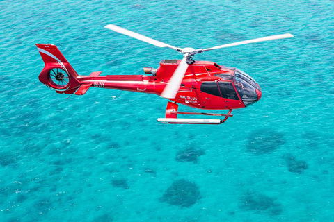 Helicopter And Cruise Packages From Port Douglas - Accommodation Guide 5