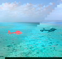 Port Douglas Scenic Flights - Accommodation Guide