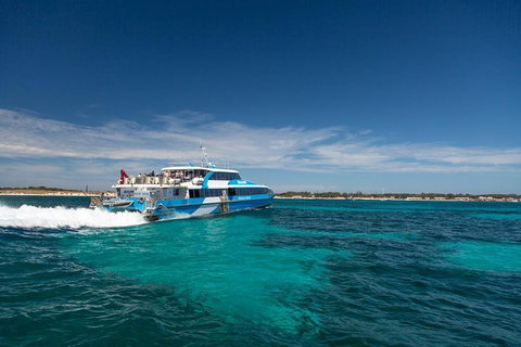 Rottnest Island All-Inclusive Grand Island Tour From Fremantle - Accommodation Guide 3