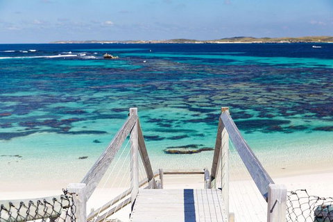 Rottnest Island All-Inclusive Grand Island Tour From Fremantle - Accommodation Guide 4