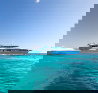 Rottnest Island Bike Snorkel  Ferry Package from Fremantle - Accommodation Guide