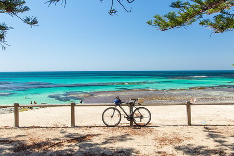 Rottnest Island Bike, Snorkel & Ferry Package From Fremantle - Accommodation Guide 3