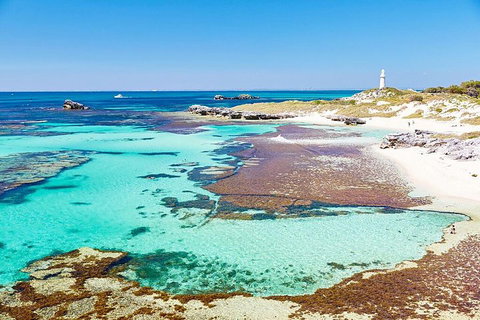 Rottnest Island Bike, Snorkel & Ferry Package From Fremantle - Accommodation Guide 4