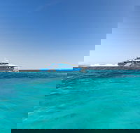 Rottnest Island Fortress Adventure Segway Package from Fremantle - Accommodation Guide