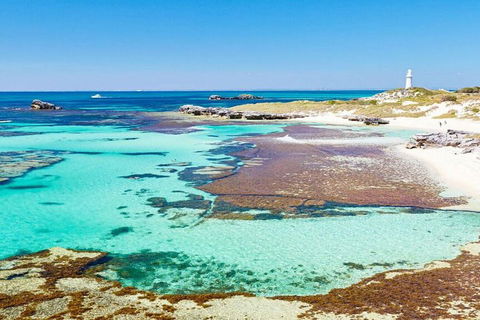 Rottnest Island Bike, Snorkel & Ferry Package From Perth - Accommodation China 5