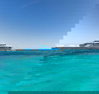 Rottnest Island Bayseeker Day Trip from Perth - Accommodation Guide