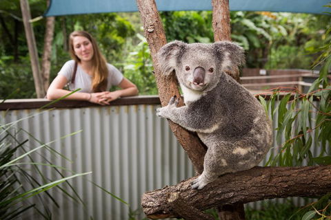 Hartley's Crocodile Adventures Day Trip From Palm Cove - Accommodation China 5