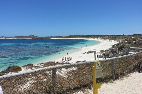 Wave Rock, Pinnacles And Rottnest One Day Aeroplane Tour - Accommodation Asia 2