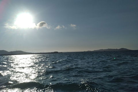 Townsville Small Group Early Morning Sailing Cruise Boat Tour Charter Hire - Accommodation China 4