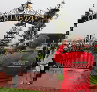 Full-Day Sports and Beer Tour of Melbourne with Lunch - Accommodation Guide